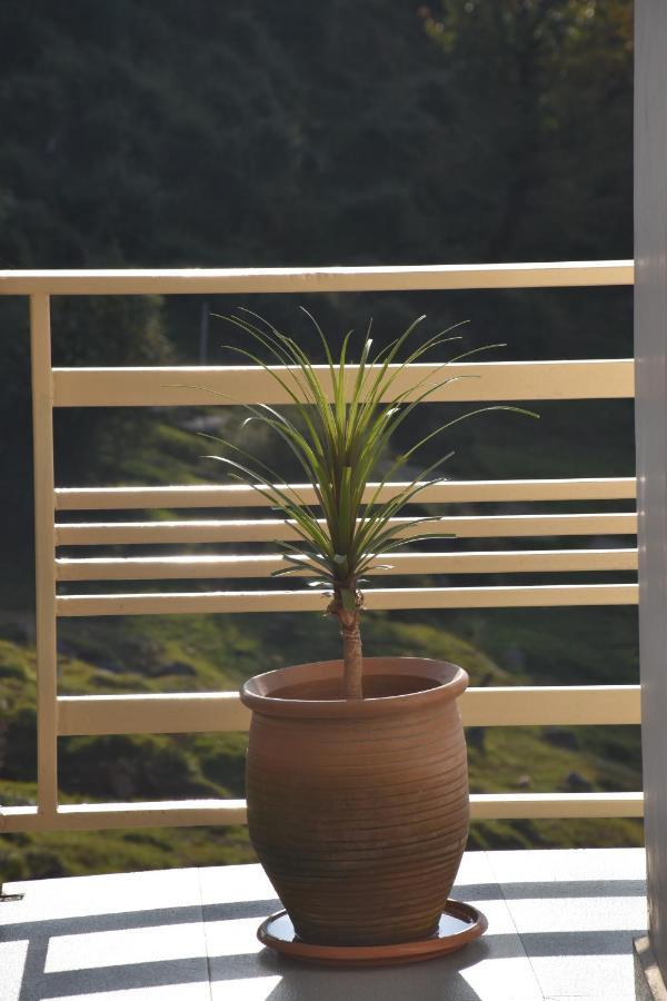 Jot Eco Boutique Stays Dharamshala Esterno foto