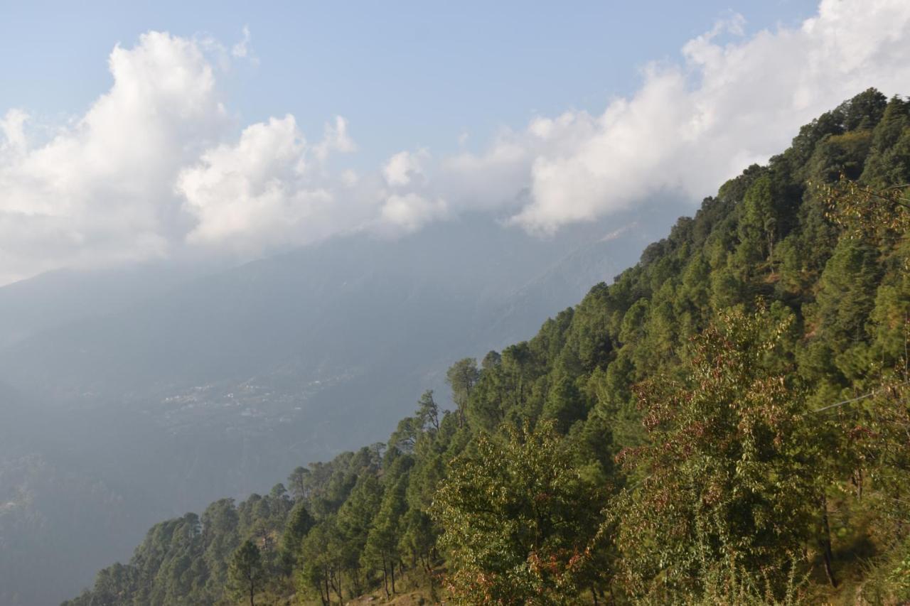 Jot Eco Boutique Stays Dharamshala Esterno foto