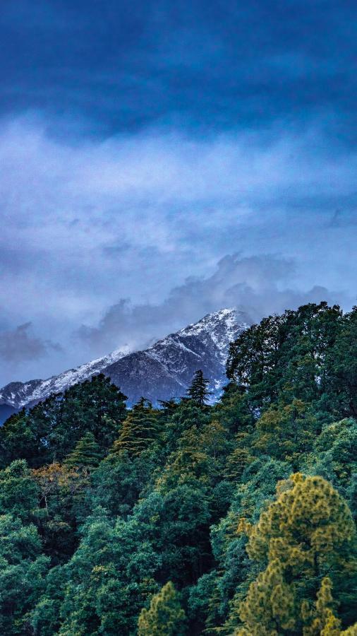 Jot Eco Boutique Stays Dharamshala Esterno foto